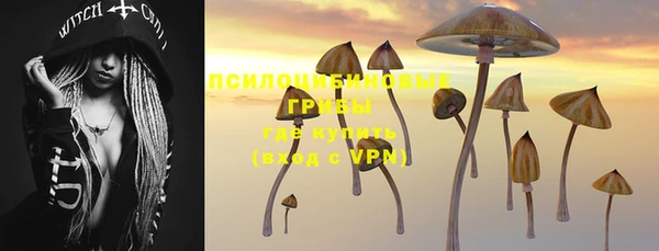 ALPHA PVP Алзамай