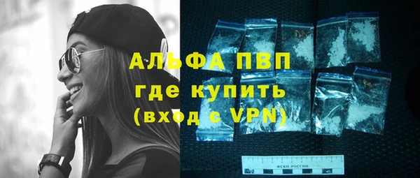 прущий лед Абаза