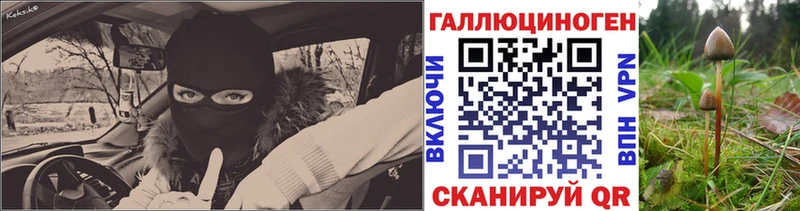 где можно купить наркотик  Полтавская  Галлюциногенные грибы ЛСД 